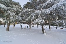 DSC_4275.jpg