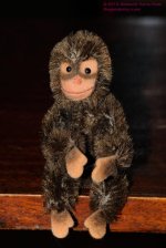 027 Planet of the Ape-130127_01.jpg 027 Planet of the Ape-130127_01.jpg