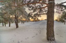 DSC_4292_3_4_tonemapped.jpg