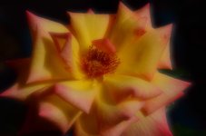 DSC_1520.jpg