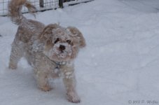 DSC_3322.jpg