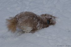 DSC_3323.jpg