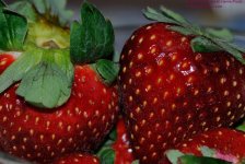 028 Strawberries-130128_01.jpg