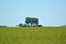 DSC_0146 nxd.jpg