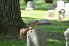DSC_0160 nxd.jpg