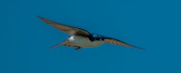 DSC_4260.jpg