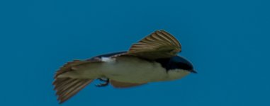 DSC_4267.jpg