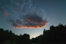 DSC_4104.jpg