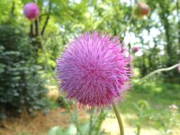 DSCN9646.jpg