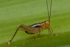 DSC_7973.jpg