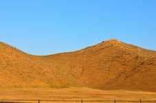 ROY_0537.JPG