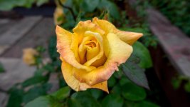 June 18, 2016-0026.jpg