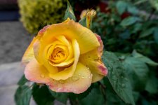 June 18, 2016-0027-Edit.jpg