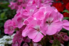 June 17, 2016-0022.jpg