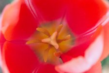 DSC_3400.jpg
