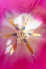 DSC_3401.jpg