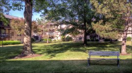 My Backyard 2016sm.jpg