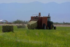 6-2-16-cr_D7K3656.jpg