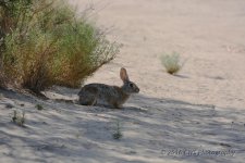 6-9-16-cr_D7K3722.jpg