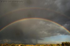 6-11-16-cr_DSC_3974.jpg