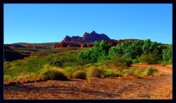 Paradise Hike  6-15-2016.jpg