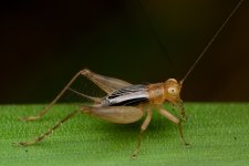 DSC_7977.jpg