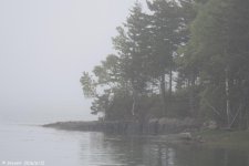 DSC_5632.jpg