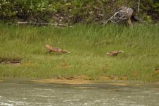 DSC_5837.jpg