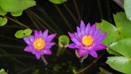 saturday-ype-afternoon-banbung_15.jpg