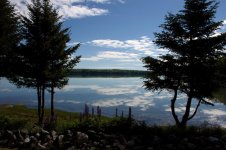_DSC3253.jpg