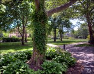 6-18-16 Oberlin HDR    18sm.jpg