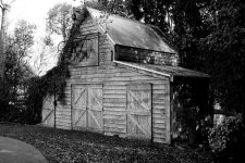 DSC_3338 B&W.jpg
