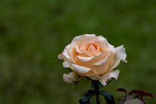 June 19, 2016-0162-Edit.jpg