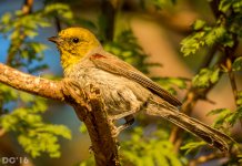 DSC_2513.jpg