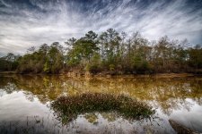DSC_5856_2447_HDR_1.jpg