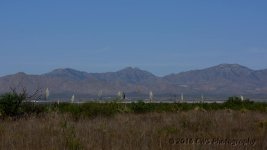 6-18-16-cr__D7K3754.jpg