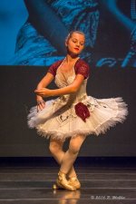 D71_0133.jpg