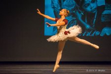 D71_0141.jpg