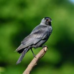 DSC_3706.jpg