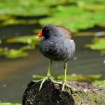 DSC_3783.jpg