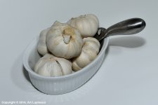 GARLIC_1.jpg