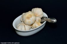 GARLIC_2.jpg