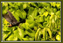 Front Porch Stuff-9067-Edit.jpg