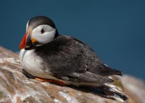 DSC_3639.jpg