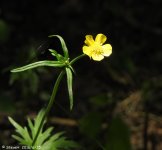 DSCN0146.jpg