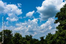 20160626 Sunday-9313.jpg