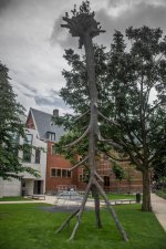 Tree 2.jpg