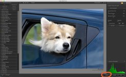 Screen Shot 2016-06-28 at 17.54.32.jpg