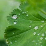 20160612-VFA_0656.jpg