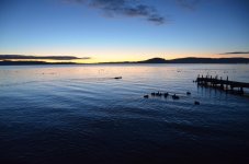 DSC_6397.jpg